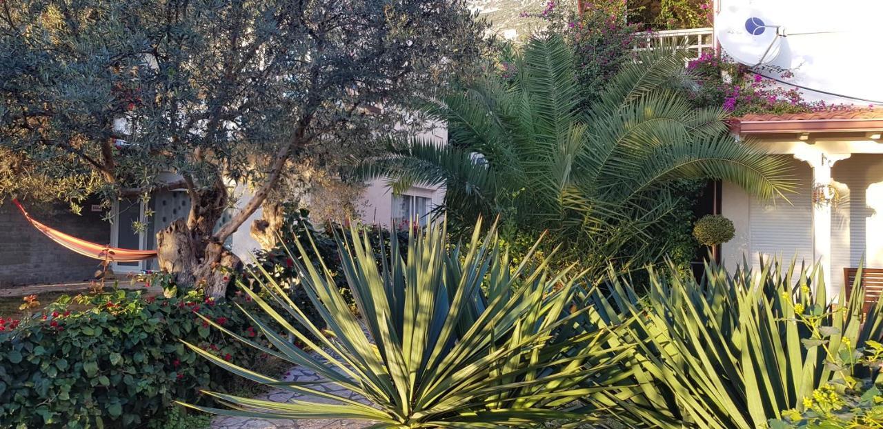 Olives Residence Dhermi Exterior photo